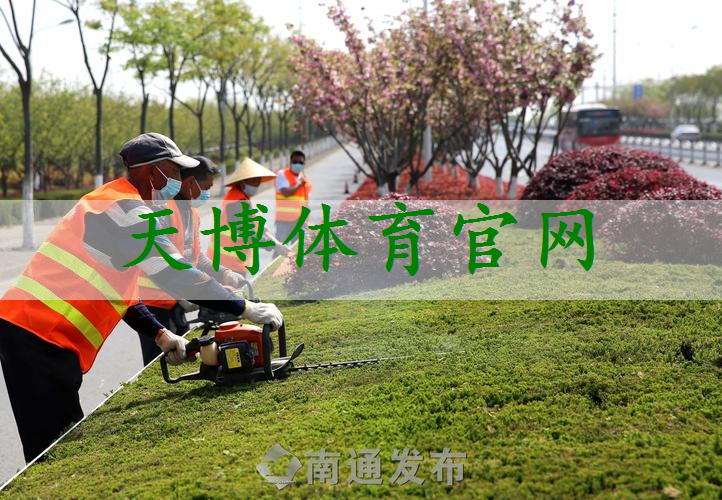 市政道路工程绿化工程量计算