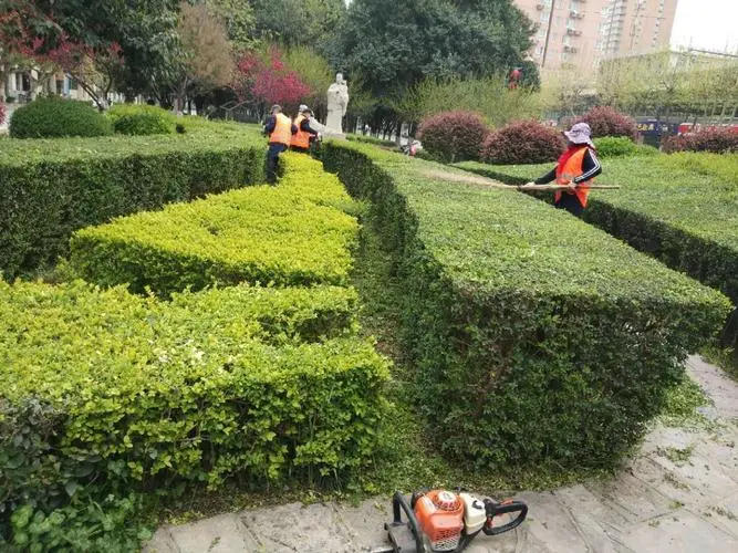 临沧城市道路两边的绿化归谁管