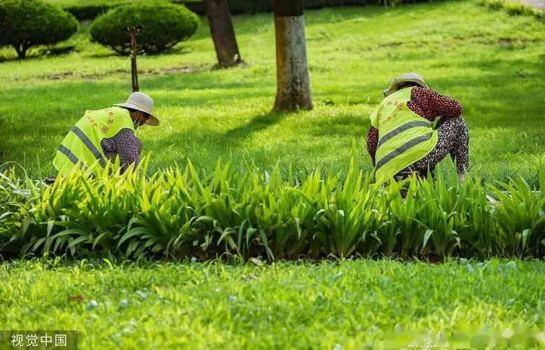 常德城市道路绿化规范2022