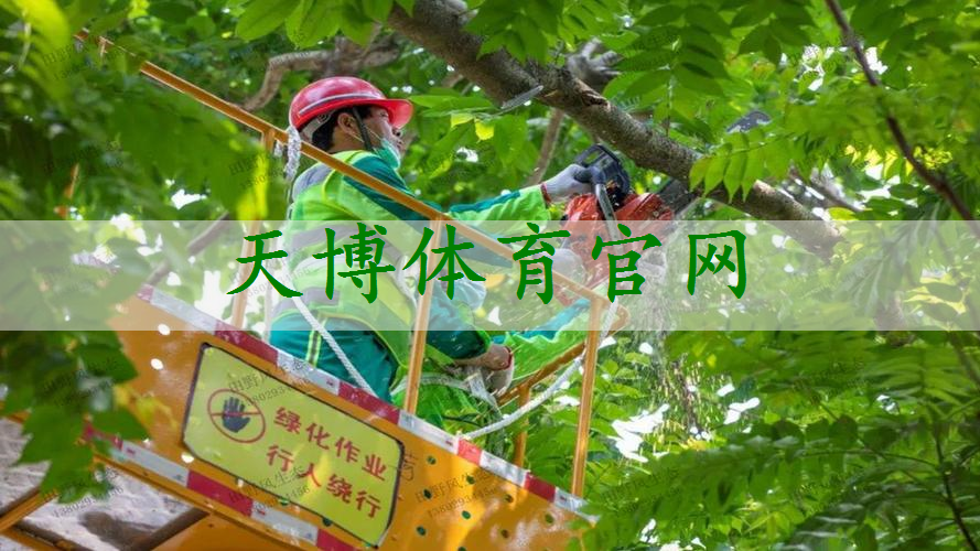 拉萨南北山绿化工程项目点